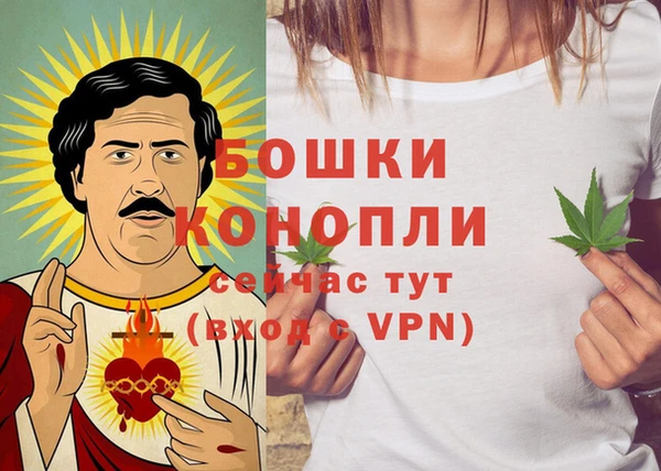 ГАЛЛЮЦИНОГЕННЫЕ ГРИБЫ Карпинск