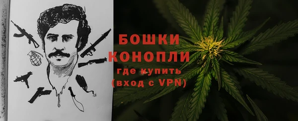 ГАЛЛЮЦИНОГЕННЫЕ ГРИБЫ Карпинск