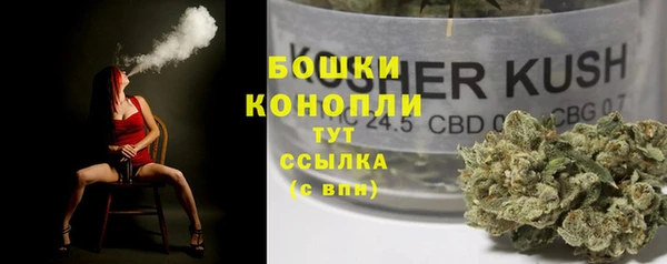 ГАЛЛЮЦИНОГЕННЫЕ ГРИБЫ Карпинск