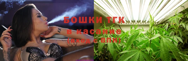 крисы Карталы